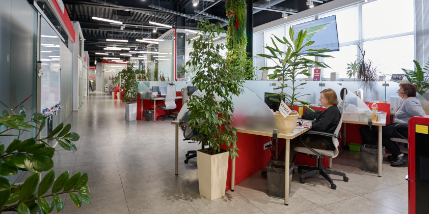 Приглашаем вас в уютный дом Армед!